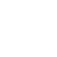 item.icon