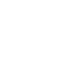 item.icon