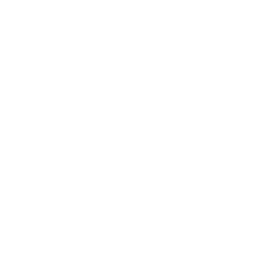 item.icon